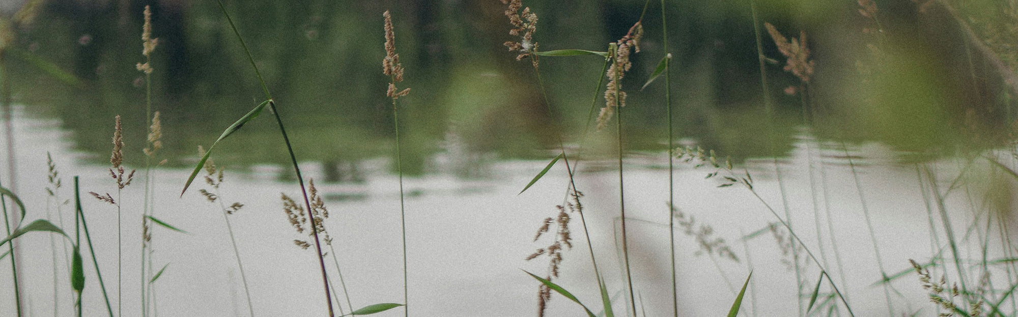 Lakeside