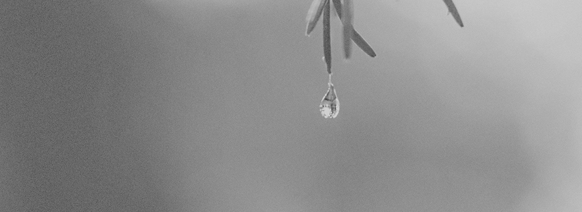 Droplet