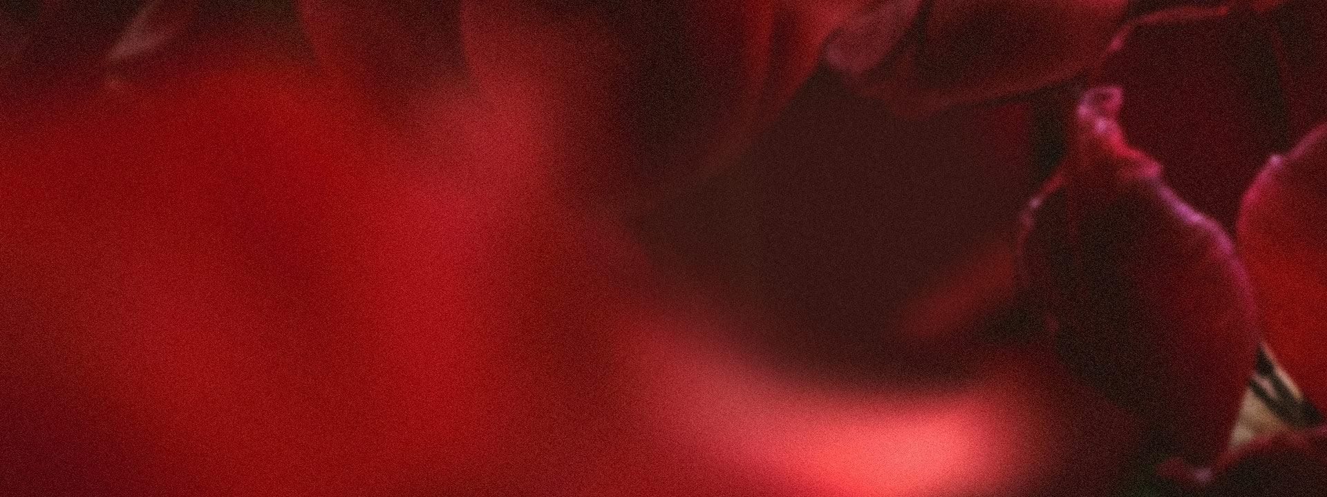 25% off Sparkling Diamonds