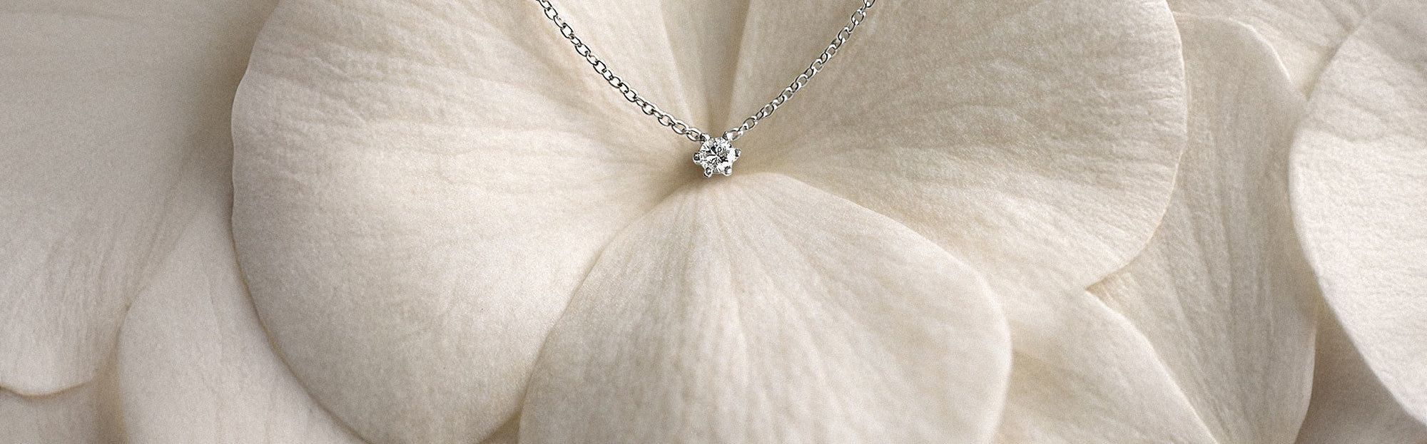 Wedding Morning Gifts