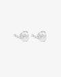 Diamond Sky fall studs silver